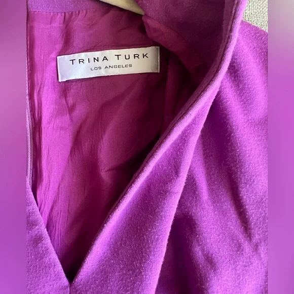 TRINA TURK V-neck Buckle Front Dress Size 10 Fuchsia / Purple Soft Mod Sheath - Picture 5 of 9